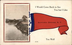 I would come back to see you but I like Sanitaria Springs, NY Postcard Postcard