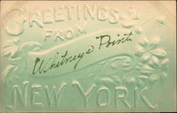 Greetings Whitney Point, NY Postcard Postcard