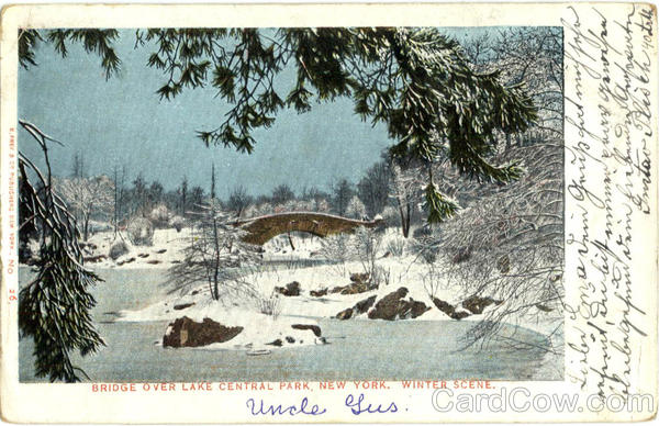 Bridge Over Lake, Central Park New York City