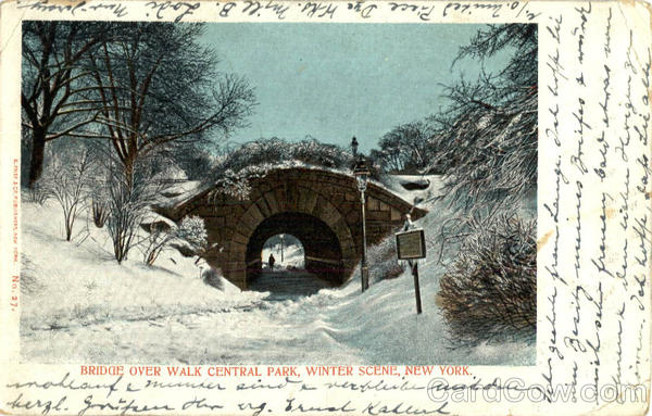 Bridge Over Walk Central Park, Central Park New York City