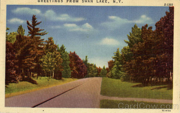 Greetings From Swan lake New York