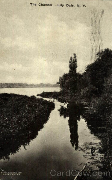 The Channel Lily Dale New York