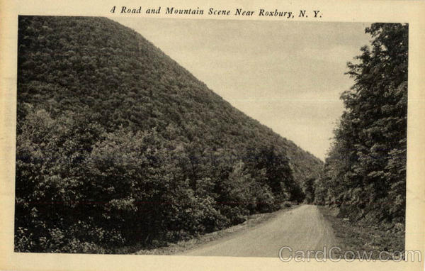 A Road and Mountain Scene Roxbury New York