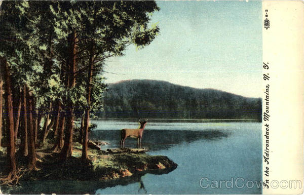 In the Adirondack Mountains Adirondacks New York