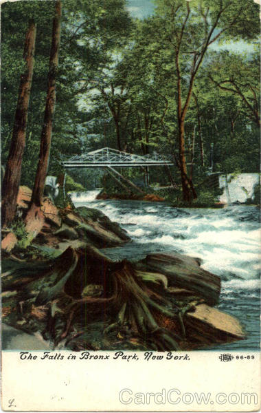 The Falls in Bronx Park New York City