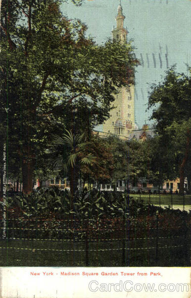 Madison Square Garden Tower from Park New York City