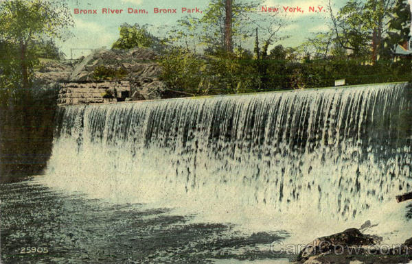 Bronx River Dam, Bronx Park New York City