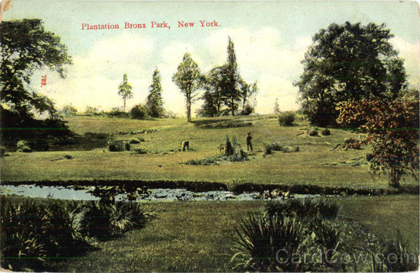 Plantation Bronx Park New York City