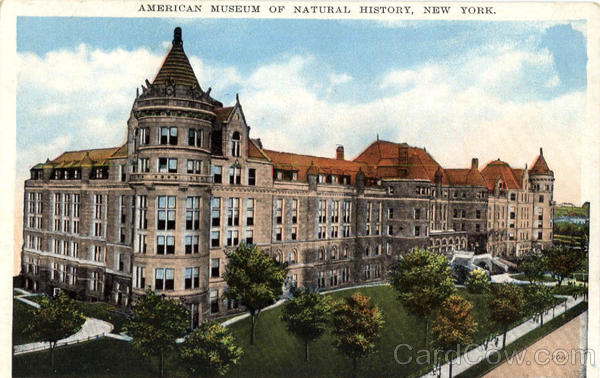 American Museum of Natural History New York City
