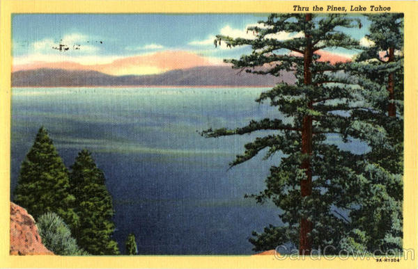 Thru the Pines Lake Tahoe California