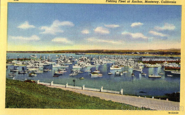 The Fishing Fleet at Anchor Monterey California