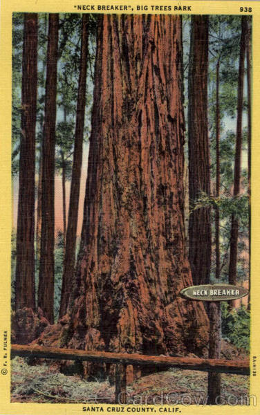 Neck Breaker, Big Trees Park Santa Cruz California