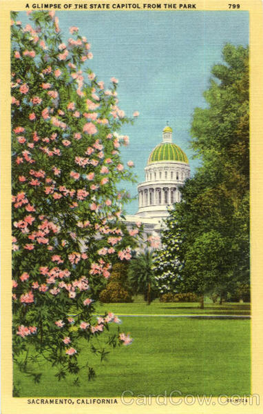 A Glimpse of The State Capitol From The Park Sacramento California