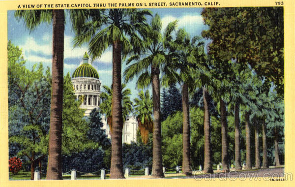 A View of the State Capitol Thru The Palms on L Street Sacramento California