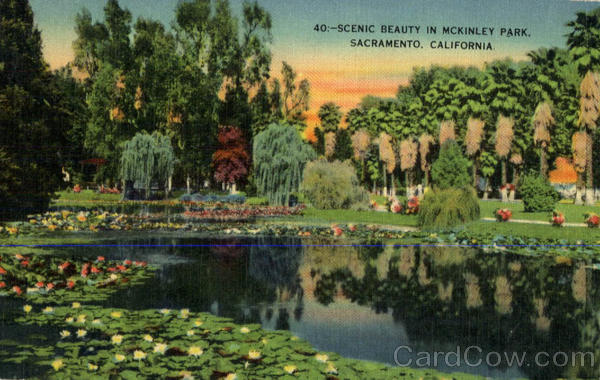 Scenic Beauty in Mckinley Park Sacramento California