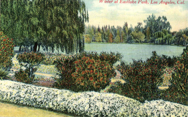 Winter at Eastlake Park Los Angeles California
