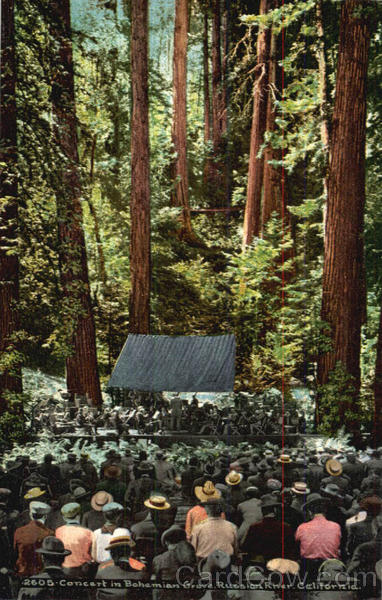Concert in Bohamian Grave Russian River California