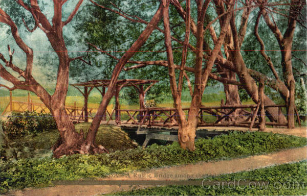 A Rustic Bridge among the Del Scenic California