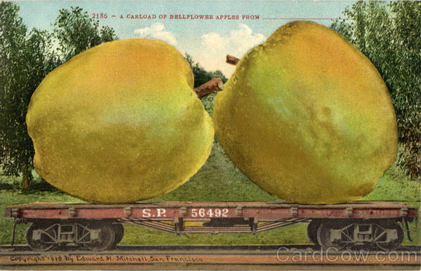 A Carload of Bellflower Apples Exaggeration