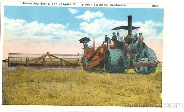 Harvesting Scene Stockton California