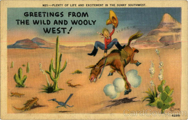 Plenty of Life & Excitement in Sunny Southwest Cowboy Western
