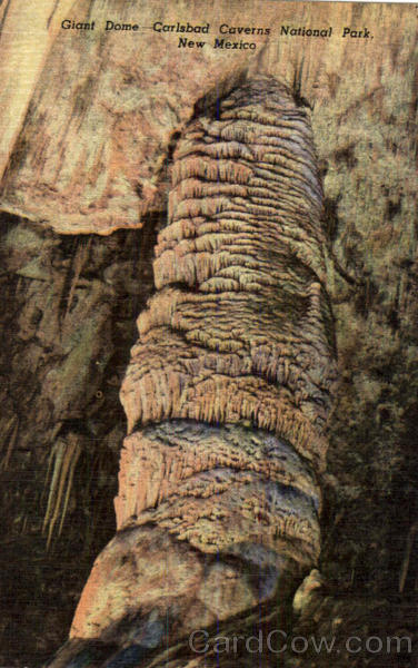 Giant Dome Carlsbad Caverns National Park New Mexico