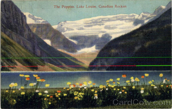 The Poppies, Lake Louise, Canadian Rockies Canada Misc. Canada
