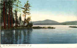 In the Adirondack Mountains Postcard