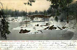 Winter Scene, Central Park Postcard