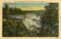 A Picturesque Scene From Prospect Park Postcard