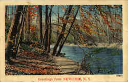 Greetings From Newcomb Postcard