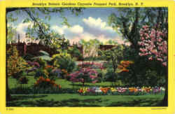Brooklyn Botanic Gardens Opposite Prospect Park Postcard