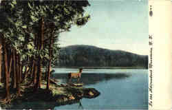 In the Adirondack Mountains Postcard