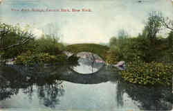 Vine Arch Bridge Postcard