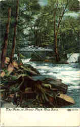 The Falls in Bronx Park Postcard