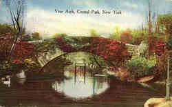 Vine Arch Postcard