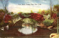 Vine Arch Postcard