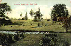 Plantation Bronx Park Postcard