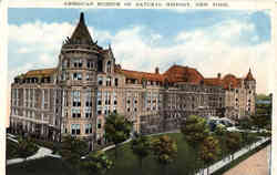American Museum of Natural History Postcard