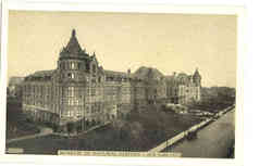 Museum of Natural History Postcard
