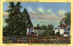 Luther Burbank's Gardens Postcard