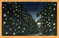 Santa Rosa Avenue-A mile of Xmas Trees Illuminated Pasadena Postcard