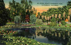 Scenic Beauty in Mckinley Park Postcard