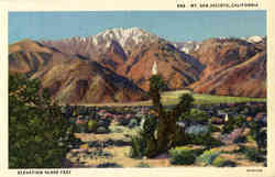 Mt. San Jacinto Postcard