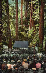 Concert in Bohamian Grave Postcard
