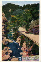 Road to Alum Rock Park Postcard