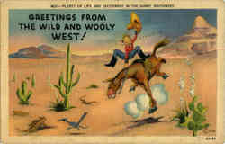 Plenty of Life & Excitement in Sunny Southwest Postcard