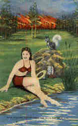 Prevent Forest Fires Save the Wild Life Postcard