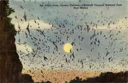 Stock #9721 Thumbnail