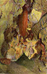 Mammoth Stalactite, Diamond Caverns Postcard